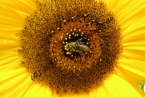 FOTO2_Natur_01c